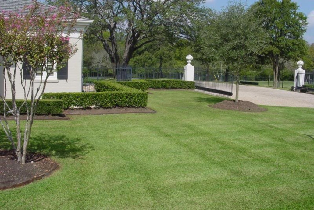 Lawn Care in College Station Grassmasters